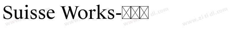 Suisse Works字体转换